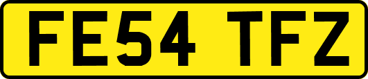 FE54TFZ