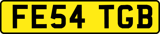 FE54TGB
