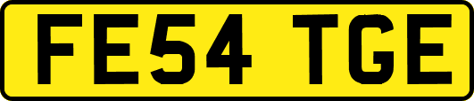 FE54TGE
