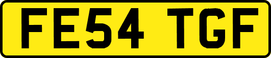 FE54TGF
