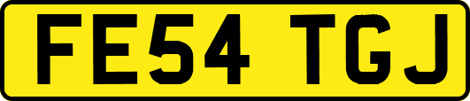 FE54TGJ