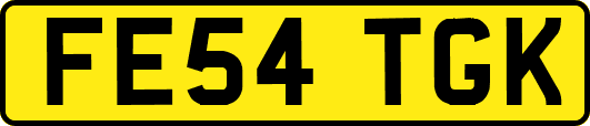 FE54TGK