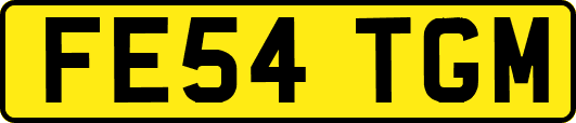 FE54TGM