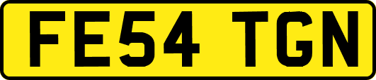 FE54TGN