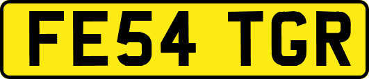 FE54TGR