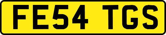 FE54TGS