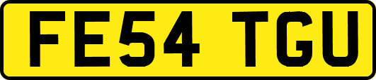 FE54TGU