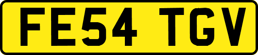 FE54TGV