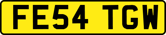 FE54TGW