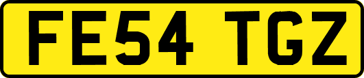FE54TGZ