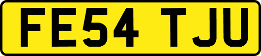 FE54TJU