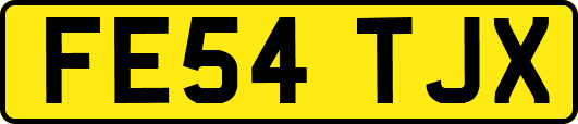 FE54TJX