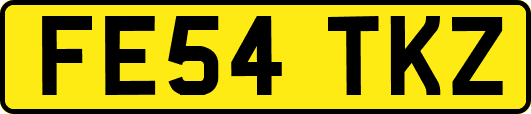 FE54TKZ