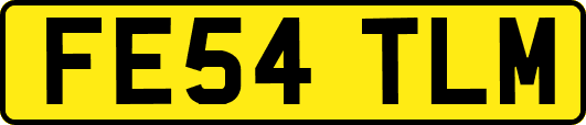 FE54TLM