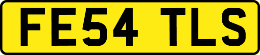 FE54TLS