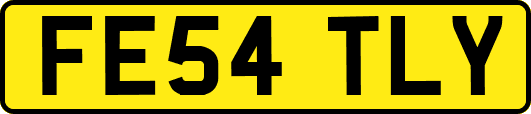 FE54TLY