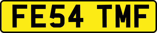 FE54TMF