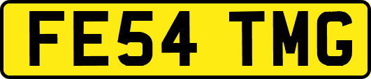 FE54TMG