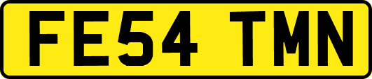 FE54TMN
