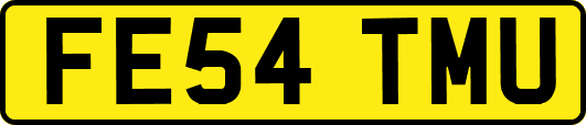FE54TMU