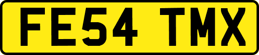 FE54TMX