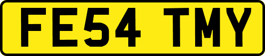 FE54TMY