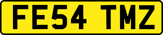 FE54TMZ