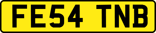 FE54TNB