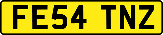 FE54TNZ