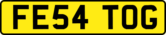 FE54TOG