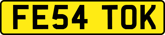 FE54TOK