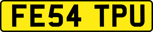 FE54TPU