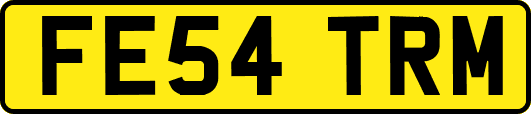 FE54TRM