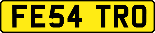FE54TRO