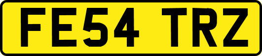 FE54TRZ