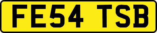 FE54TSB