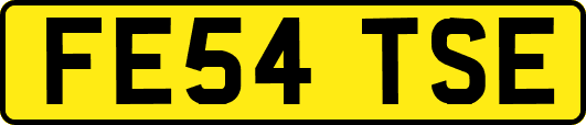 FE54TSE