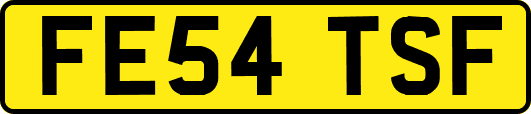 FE54TSF