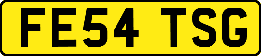 FE54TSG