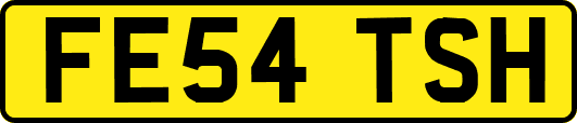 FE54TSH