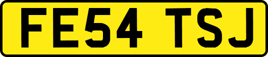 FE54TSJ