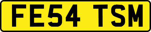 FE54TSM