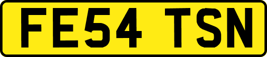 FE54TSN