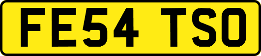 FE54TSO
