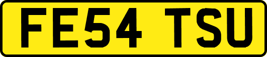 FE54TSU