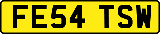 FE54TSW