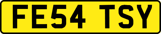FE54TSY