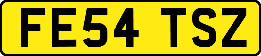 FE54TSZ