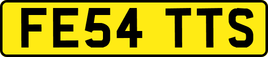 FE54TTS