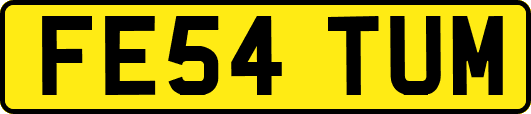 FE54TUM